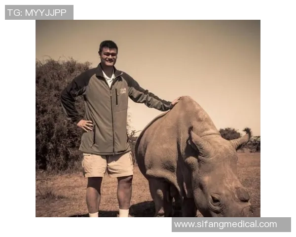 姚明在NBA赛场上的精彩过人技巧与传奇瞬间回顾 姚明在NBA赛场上的精彩过人技巧与传奇瞬间回顾