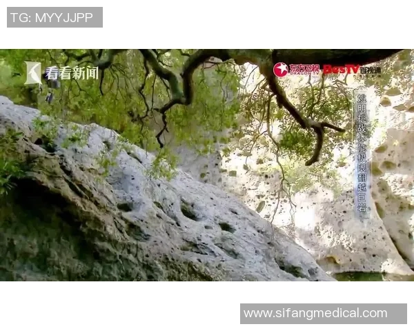 姚明勇闯极限越野挑战赛展现体育精神与坚持不懈的奋斗历程